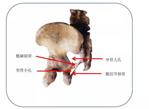 打屁股 ,原来有这么多好处 现在知道还不晚