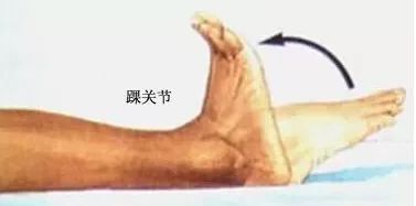 养生大咖 生命在于勤运动,关节在于省着用 骨科大咖林瑞新 中年健身有讲究,一招保护膝关节