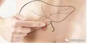 五种症状帮你自测肝病风险，结合摸骨养生法护肝健康