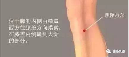 7月是祛湿最佳时机，摸骨养生推荐每天一杯，湿毒全消身轻松