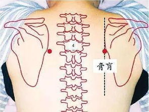 神奇的膏肓穴 摸骨养生，探秘人体自愈之源