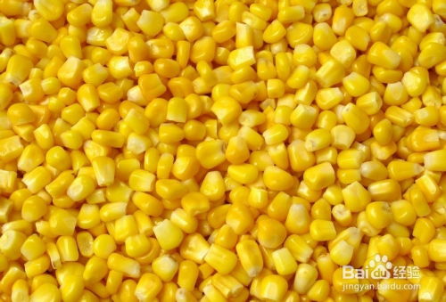 从玉米的滋养到摸骨养生 探寻传统与现代的健康智慧