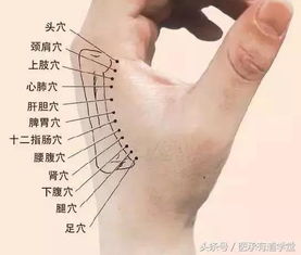 摸骨知健康，一按调百病 探秘传统养生中的摸骨疗法