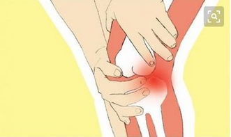 摸骨整脊 传统技艺在现代颈肩腰腿痛调理与养生中的应用